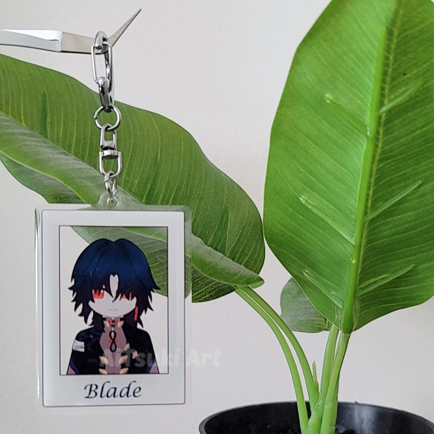 Honkai Star Rail Photocard Keychain