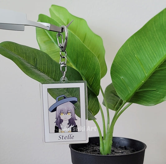 Honkai Star Rail Photocard Keychain